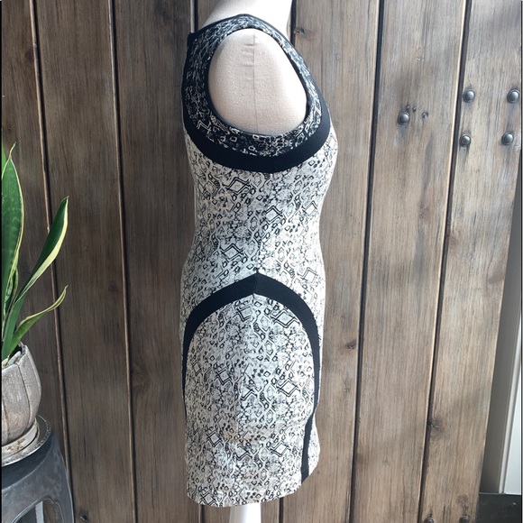 Parker Jaggar • sleeveless sheath Dress - Picture 6 of 14